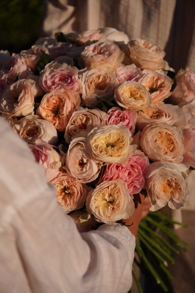 №604 Garden Roses