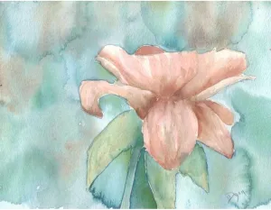 ArtDirect Blush Rose 2 14x11 UnFramed Art Print Poster Ready for Framing by Dyer, Beverly