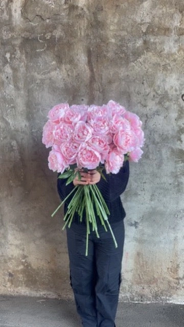ARTIFICIAL BLUSH PEONY ROSE Stem