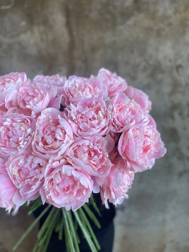 ARTIFICIAL BLUSH PEONY ROSE Stem