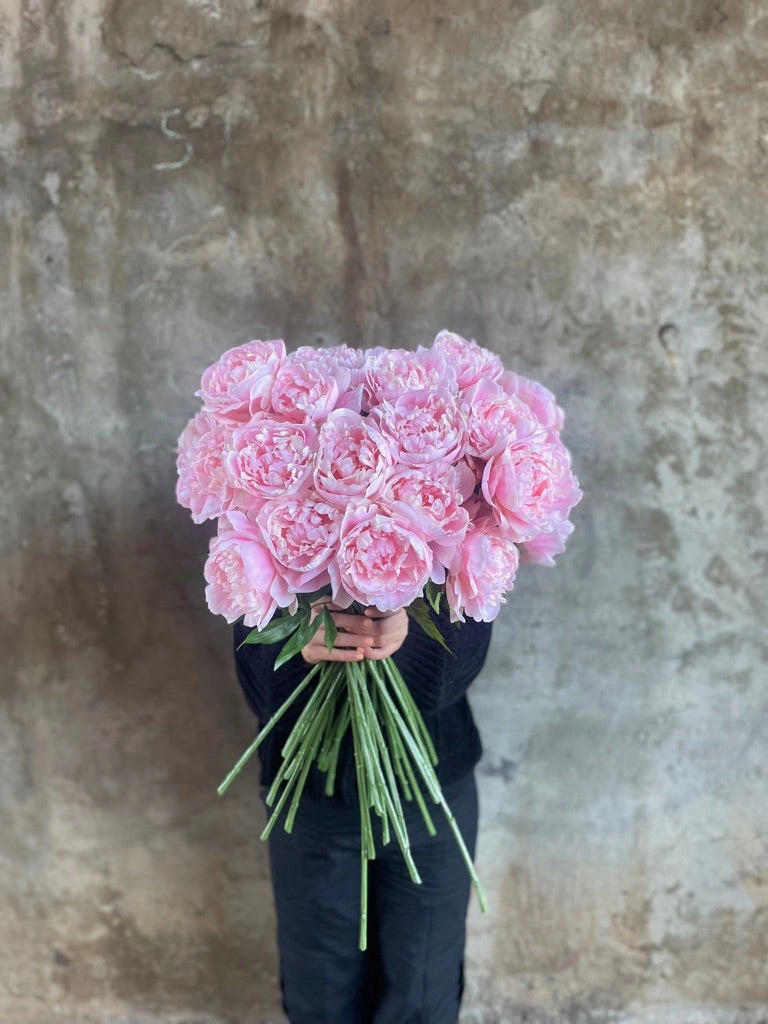 ARTIFICIAL BLUSH PEONY ROSE Stem