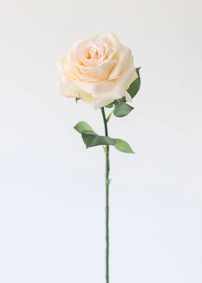 Artificial Rose Stem in Pastel Peach Pink - 24" Tall