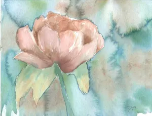 Blush Rose by Beverly Dyer - 16x12 Art Print Poster