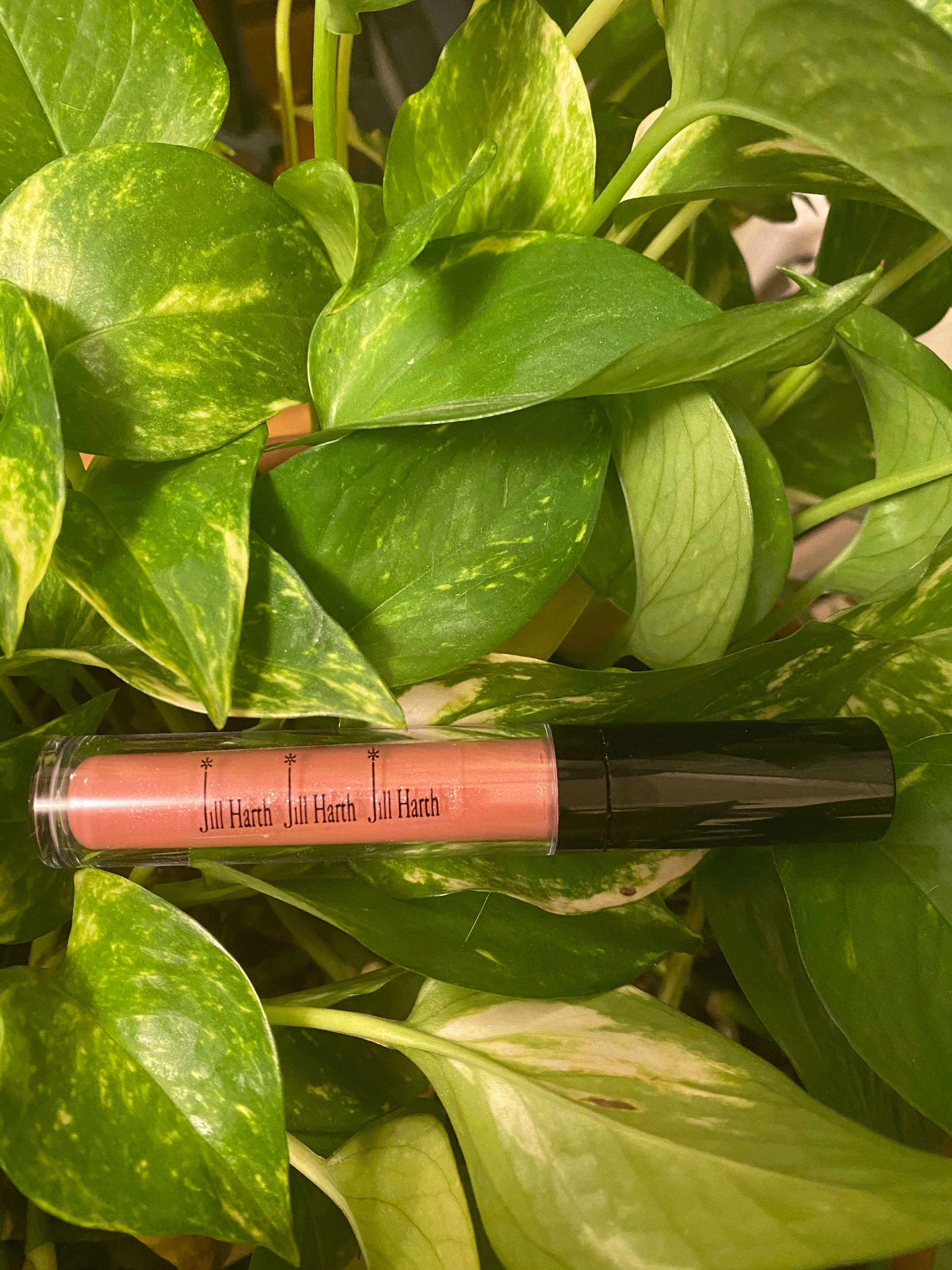 Dainty Plumping Lip Gloss