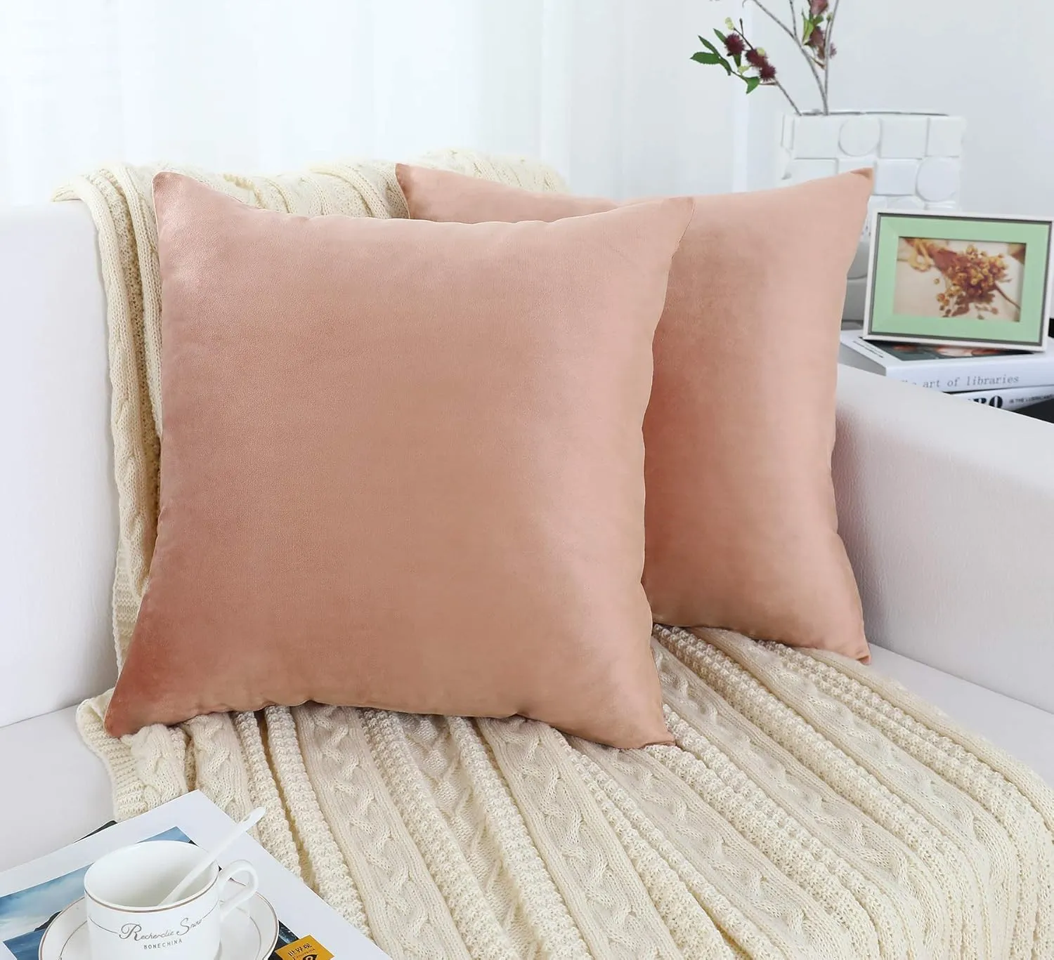 Jeneoo Set of 2 Comfy Soft Thick Velvet Throw Pillow Covers Decorative Solid Square Couch Cushion Cases for Bedroom Sofa Car Decor (20 x 20 Inches, Blush Rose)