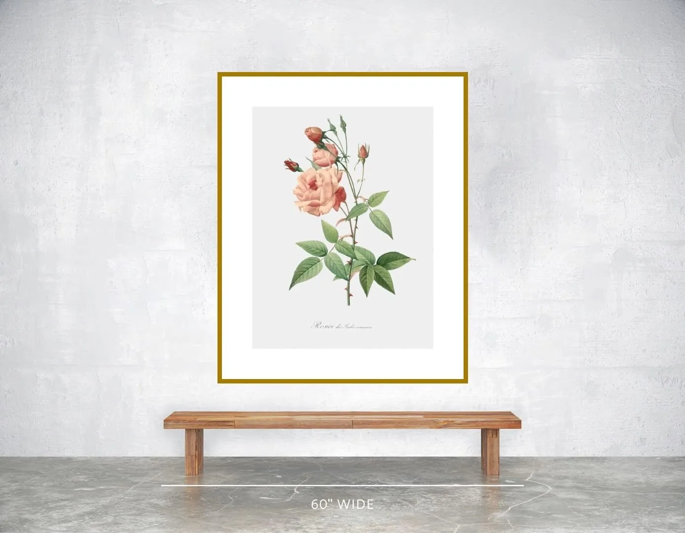 LIVESTOCK Vintage Flower Wall Art Print Old Blush Rose - Rosa Indica Vulgaris by Famed Royal Painter Pierre-Joseph Redouté, 18th 19th Century Botanical Poster, Gold frame, 30x40