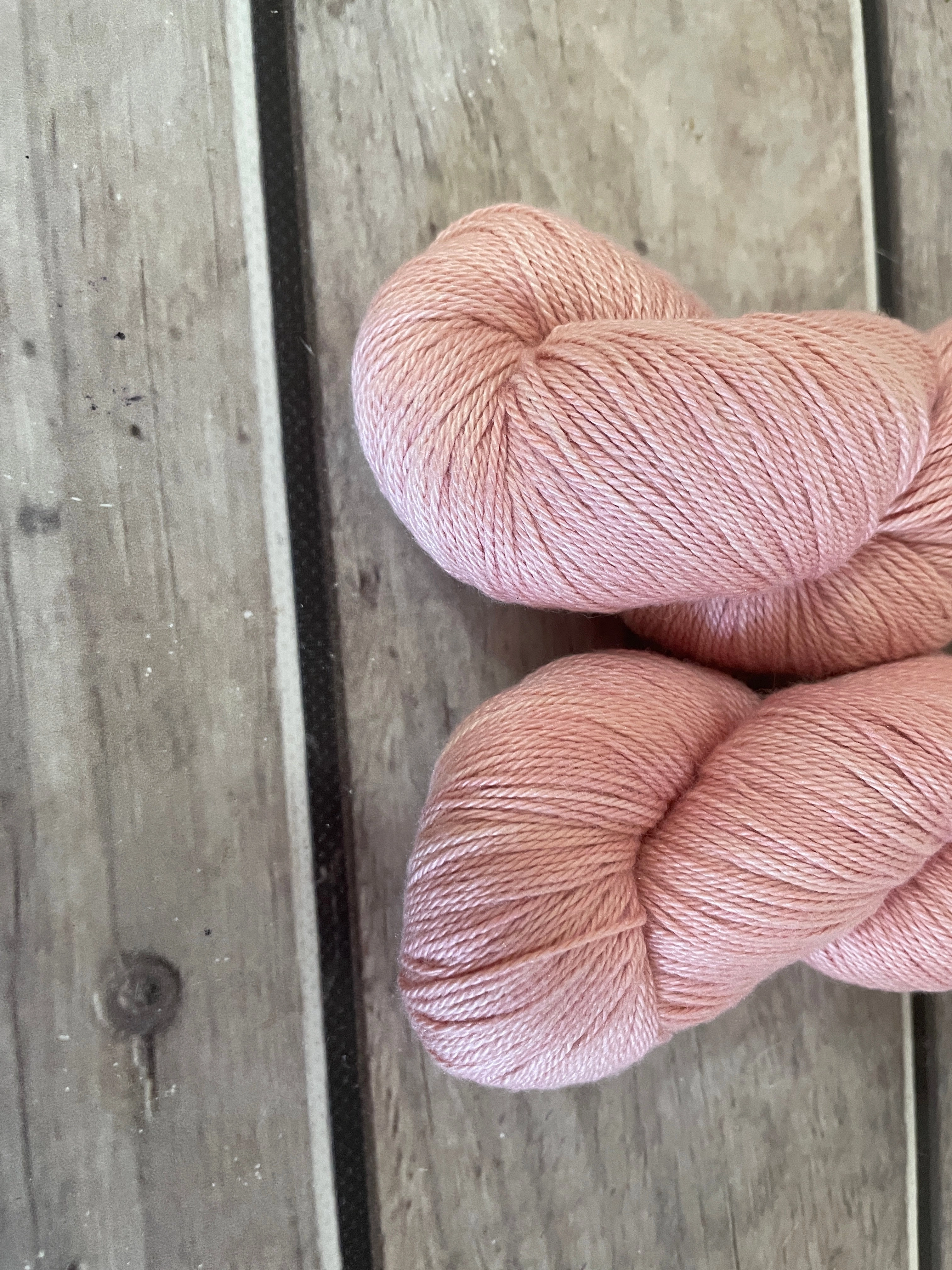 Peach Crush on Camelia - silk and cotton 4 ply