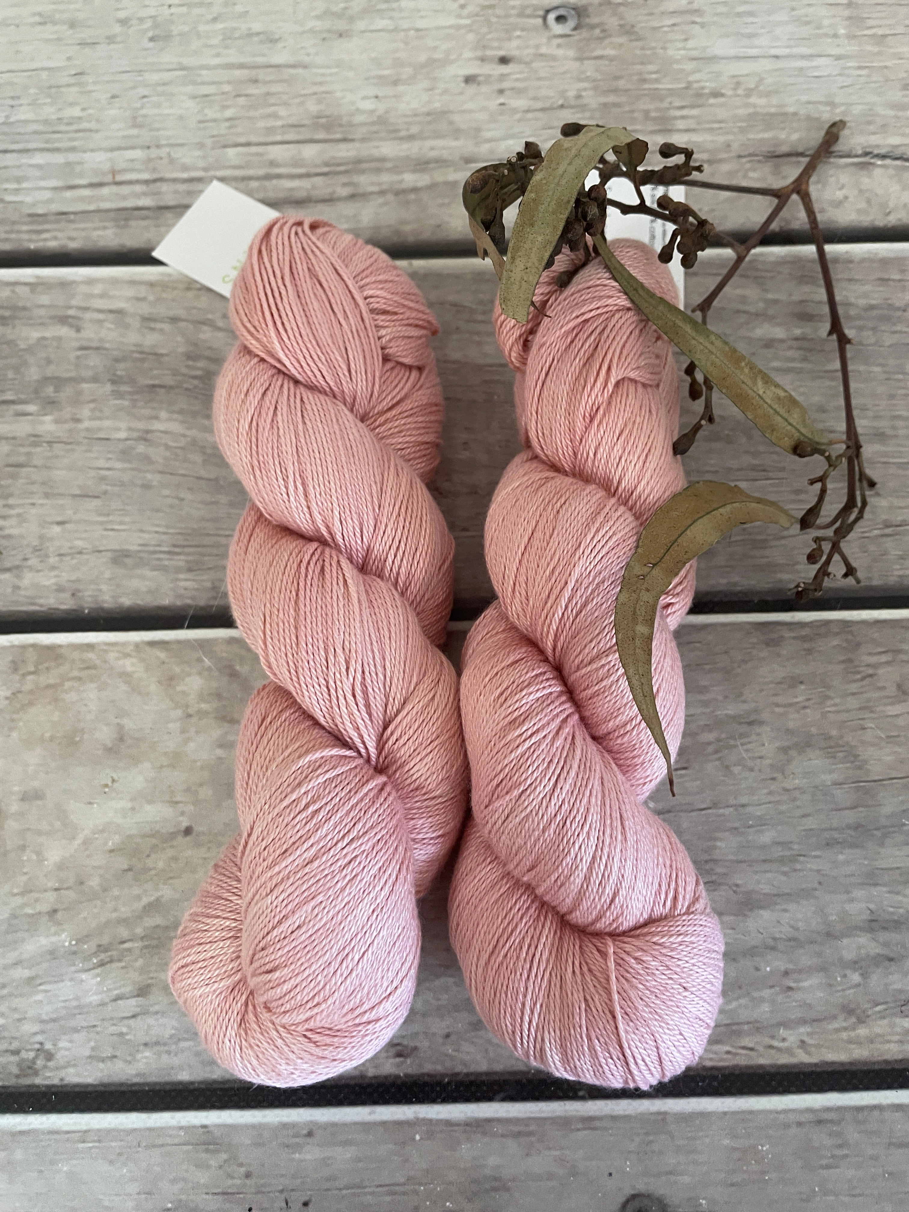 Peach Crush on Camelia - silk and cotton 4 ply
