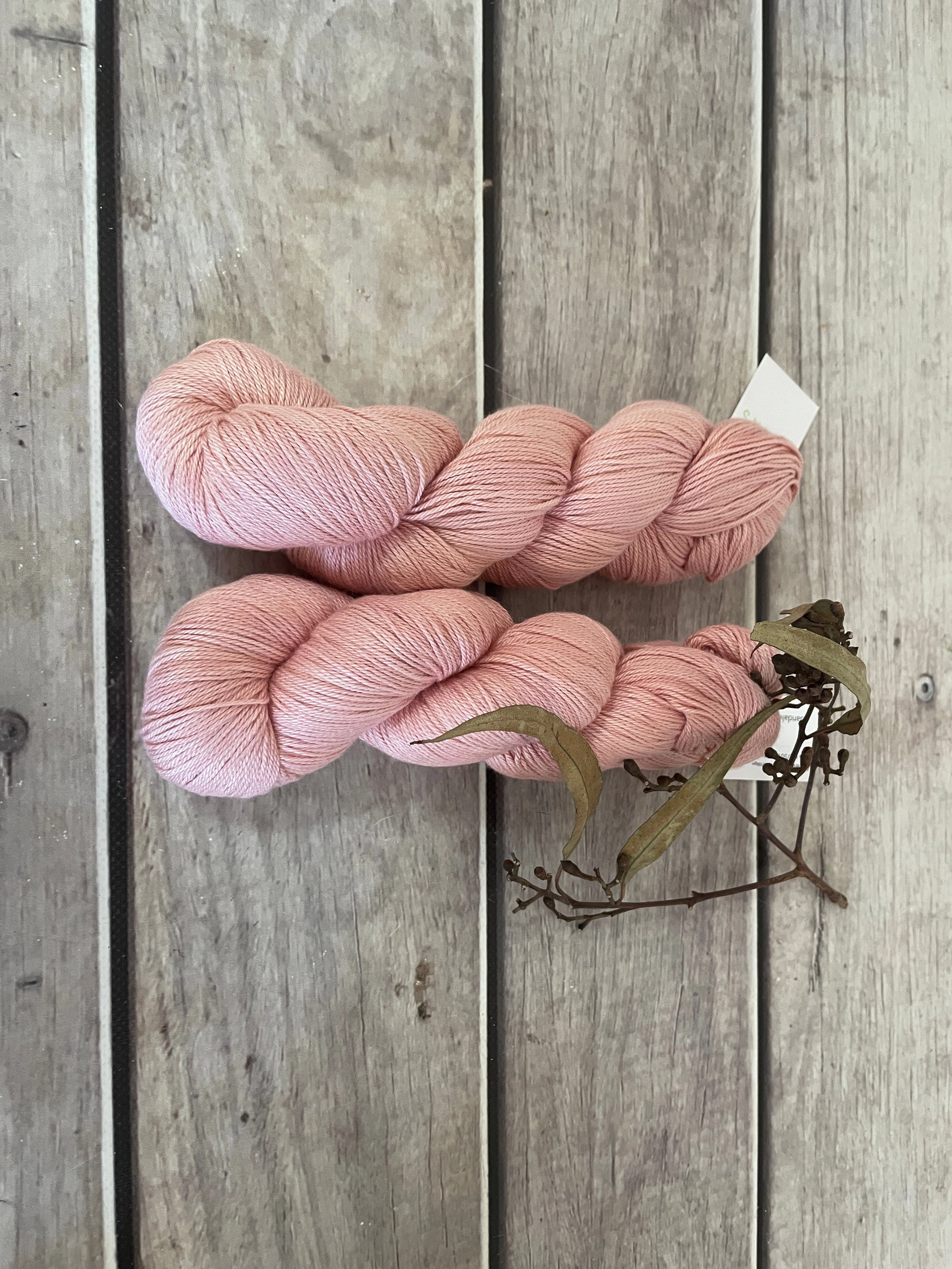 Peach Crush on Camelia - silk and cotton 4 ply