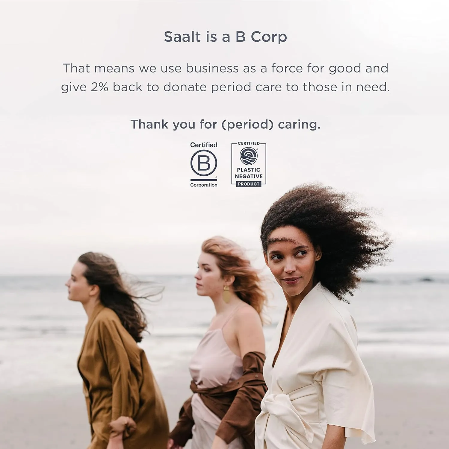 Saalt Soft Menstrual Cup – Reusable Period Cup – Made for Comfortable, Leak-Free Protection Up to 12 Hours – BPA & Latex Free – Includes Cup & Carry Bag (Regular Grey/Small Desert Blush)