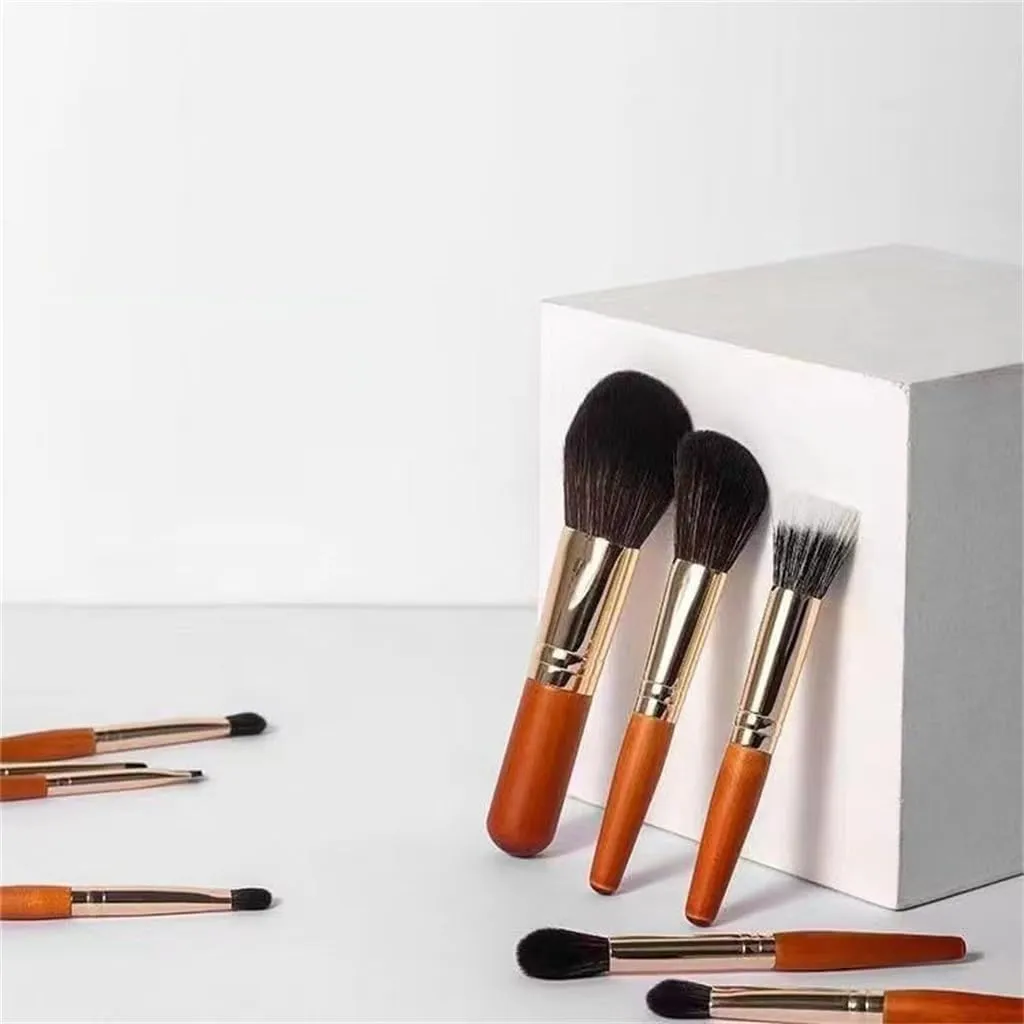 Set of 9 Cosmetic Brushes Portable Travel Mini Makeup Brushes Super Soft Loose Powder Brushes Makeup Tools