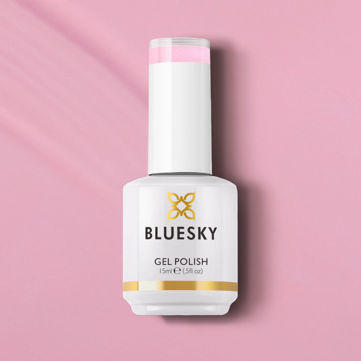 Shop | Classic PLUS | BLUSH BUNNY